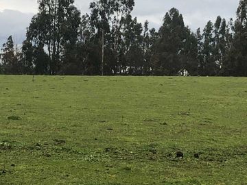 Parcela en venta en TEMUCO