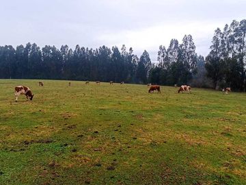 Parcela en venta en TEMUCO