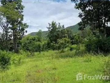 3 Bedroom House for sale in Makhuea Chae, Lamphun