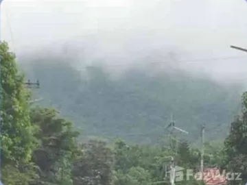 3 Bedroom House for sale in Makhuea Chae, Lamphun