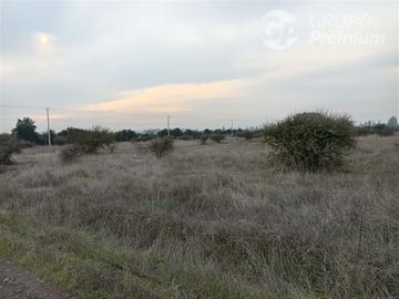 Sitio en Venta en BULNES REGION DE ÑUBLE