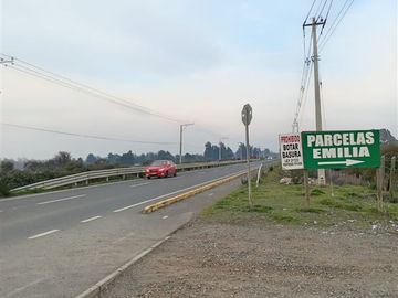 Sitio en Venta en BULNES REGION DE ÑUBLE