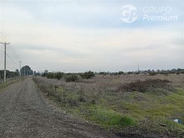 Sitio en Venta en BULNES REGION DE ÑUBLE