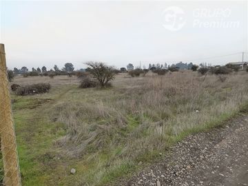 Sitio en Venta en BULNES REGION DE ÑUBLE