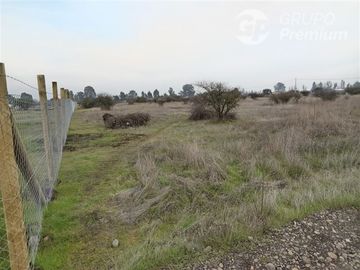 Sitio en Venta en BULNES REGION DE ÑUBLE