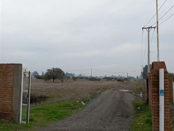 Sitio en Venta en BULNES REGION DE ÑUBLE