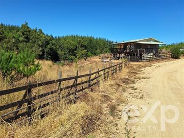 Casa en Venta en Vende sitio 5000 m2 casa 56 m2 Pichilemu