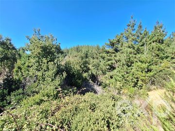 Casa en Venta en Vende sitio 5000 m2 casa 56 m2 Pichilemu