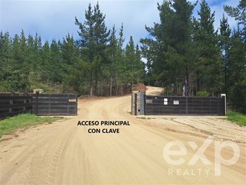 Casa en Venta en Vende sitio 5000 m2 casa 56 m2 Pichilemu