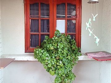 Casa en Venta en Mar de los sargazos , coquimbo