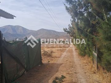 Parcela en Venta en Pedegua Parcela Nro 19