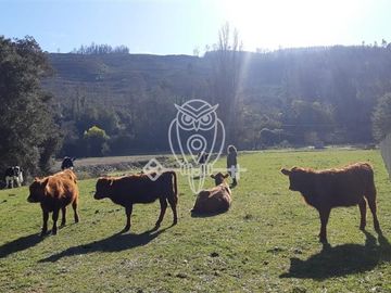 Parcela en Venta en Rio Cruces