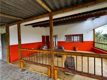 Venta Finca Ganadera y Cafetera Montenegro, Armenia