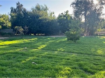 Oportunidad! Rebajada bella Parcela en Peñaflor!!