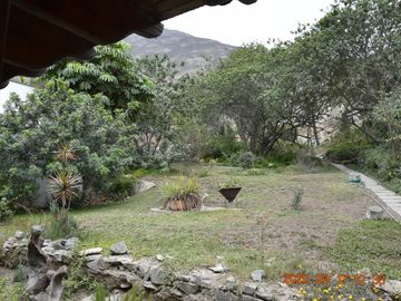 Casa Como Terreno - Los Alamos de Monterrico