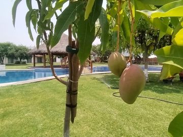 Casa en Venta, Apta para crédito en Yautepec