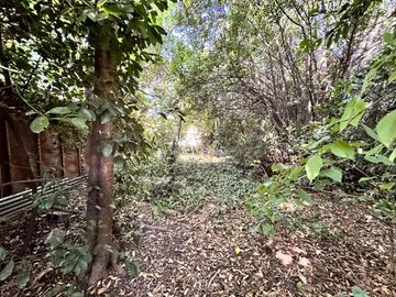 CASA CON LOCALES EN VENTA EN RAFAEL CALZADA
