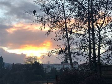 Departamento en Venta en Torreon y rio Valdivia (turismo)