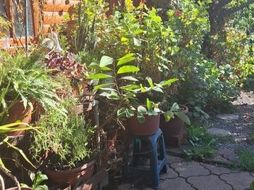 Casa en Venta en Avda. Los Carrera -Troncal Quilpue