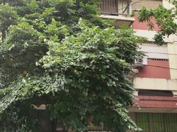 Excelente departamento 2 ambientes reciclado en Flores