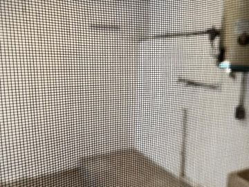 Casa de 1 piso en venta Fracc floresta