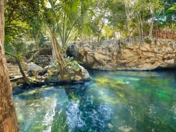 Quinta en venta y renta en Residencial Bambú, Solidaridad, Quintana Roo