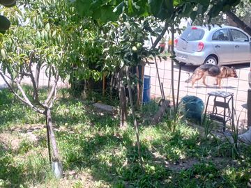 VENTA DERECHOS CASA SAN VICENTE ,PIRQUE