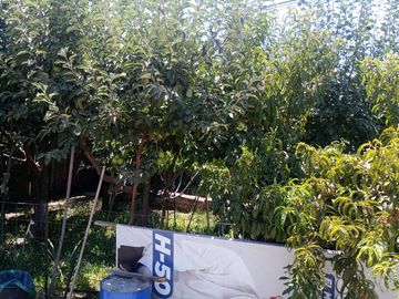 VENTA DERECHOS CASA SAN VICENTE ,PIRQUE