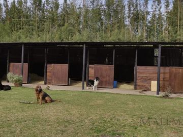 Excelente Oportunidad Quinta en Barrio Cerrado Freixas Pilar