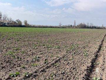 CONDOROMA AL LLEGAR A LOS VILLARES