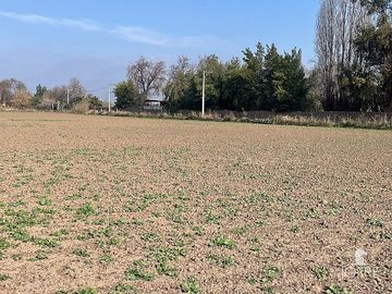 CONDOROMA AL LLEGAR A LOS VILLARES