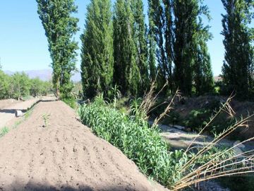 PARCELAS EN VENTA EN CALLE LARGA, LOS ANDES