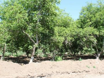 PARCELAS EN VENTA EN CALLE LARGA, LOS ANDES
