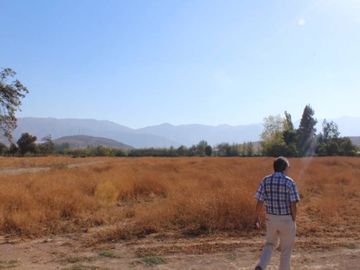 LOTE EN CALLE LARGA, LOS ANDES