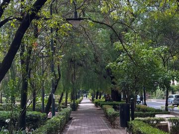 Lindo Departamento en Parque Lincoln
