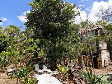 TEMPLO SECRETO ENTRE LOS ÁRBOLES