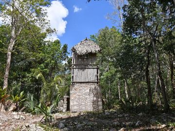 TEMPLO SECRETO ENTRE LOS ÁRBOLES