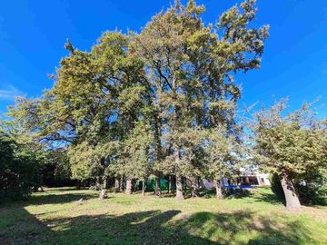VENTA CASA 4 Amb GRAL LAS HERAS 1400m2- Toma depto