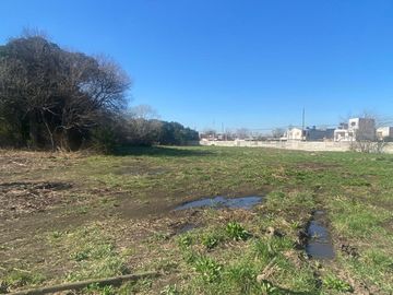 LOTEO PLUMERILLOS