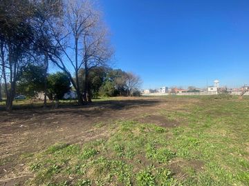 LOTEO PLUMERILLOS