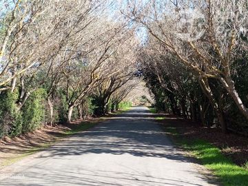 Parcela en Venta en Valles de Trinidad, Angamos 421