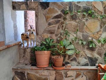 Casa en venta Centro Histórico de Querétaro