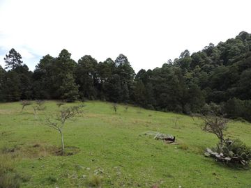 Rancho cerca de cdmx, en Villa del Carbon,Chapa de Mota