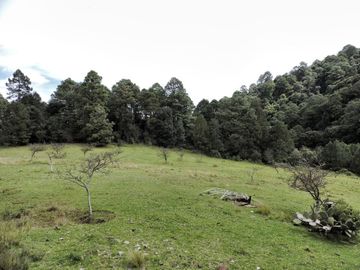 Rancho cerca de cdmx, en Villa del Carbon,Chapa de Mota