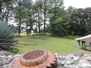 Terreno en Venta, con Permiso de Tala en Chapa de Mota Edo de Mexico