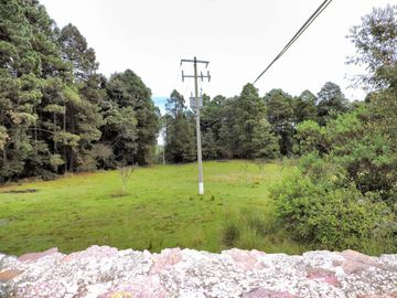 Terreno en Venta, con Permiso de Tala en Chapa de Mota Edo de Mexico