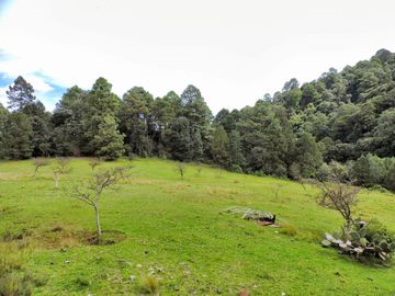 Terreno en Venta, con Permiso de Tala en Chapa de Mota Edo de Mexico