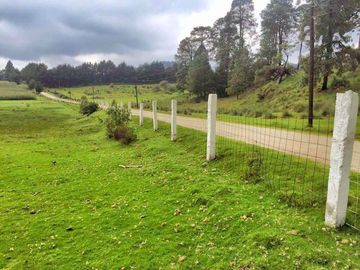 Terreno en Venta, con Permiso de Tala en Chapa de Mota Edo de Mexico