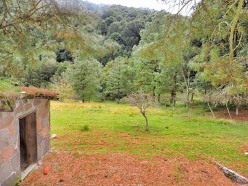 Terreno en Venta, con Permiso de Tala en Chapa de Mota Edo de Mexico