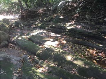 TERRENO + RIO AHUASHIYACU